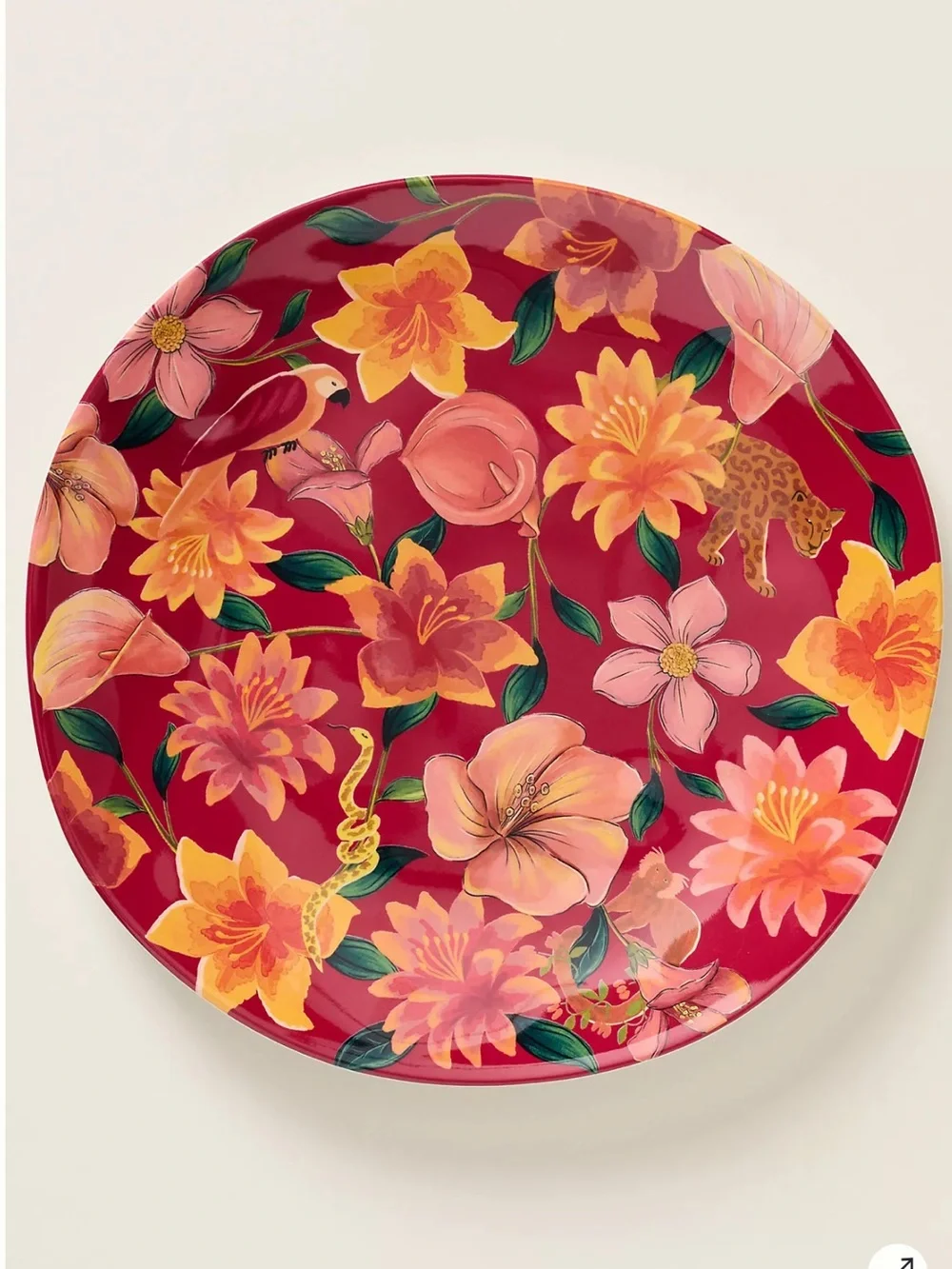 Farm Rio x Anthropologie Melamine Dessert Plate Tropical Red Berry Hibiscus